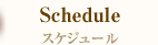 スケジュール